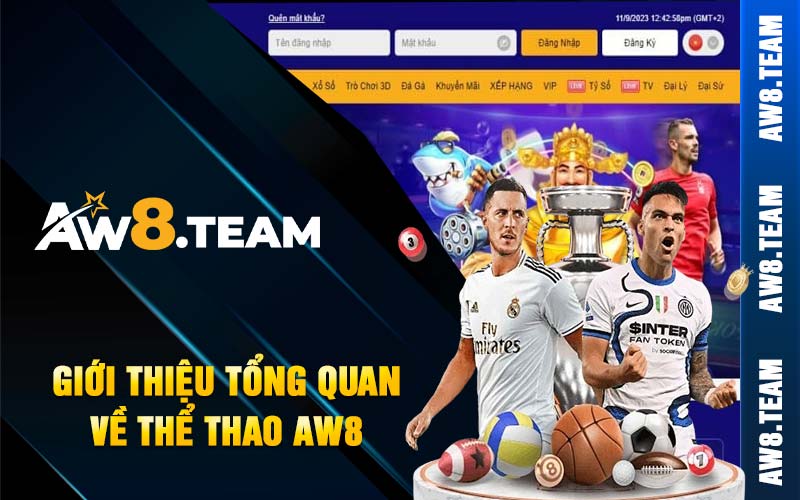 Giới thiệu tổng quan về thể thao AW8 